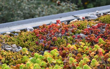 the cost of Midford green roof installation