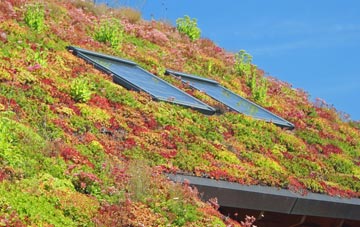 Midford living roof systems