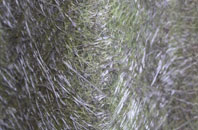 Midford fibreglass roof work